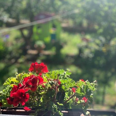 Apartman Dalija Винкуран Екстериор снимка